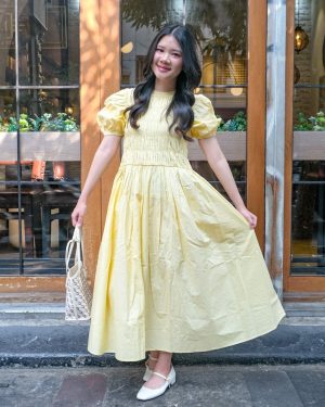 Dineshcara Dress - Dress Wanita